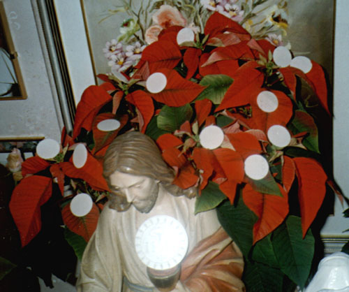 Le 23 novembre 1997: La Madone dépose une grande hostie sur le calice de Jésus Doux Maître et beaucoup de petites sur une plante.